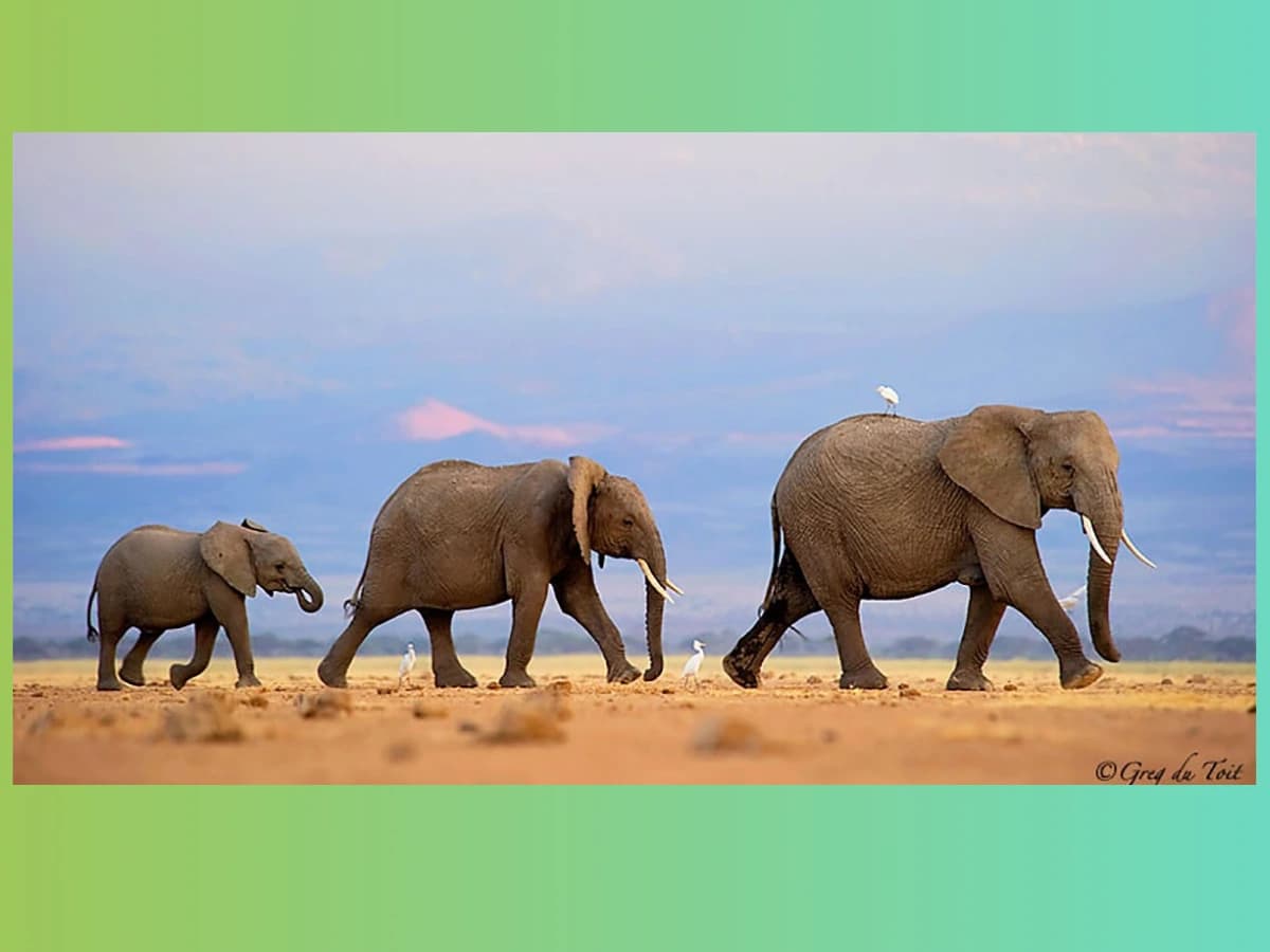 Wie wähle ich die richtige Wärmepumpen-Größe aus?