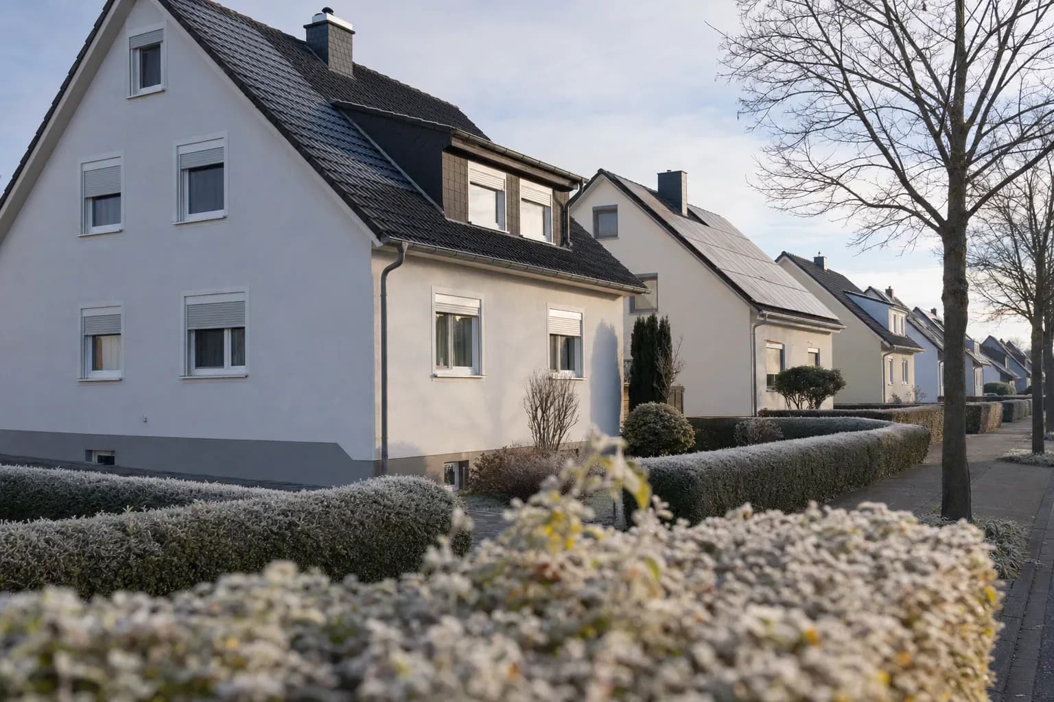 Wohnstraße mit Reihenhäusern im Rhein-Main-Gebiet im kalten Morgenlicht, leichte Reifschicht auf Hecken; teils PV-Module auf Ziegeldächern, keine Menschen oder Fahrzeuge.